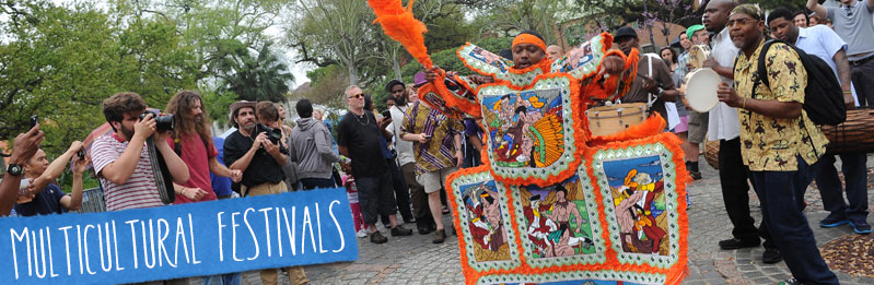 Multicultural Festival