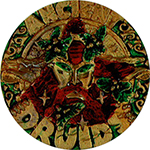 Druids