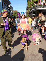 Boeuf Gras