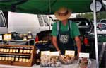 Crescent City Farmers Market 