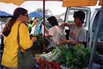 Crescent City Farmers Market 