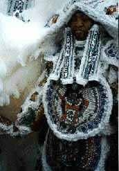 Mardi Gras Indian