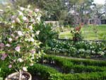 Longue Vue House and Gardens