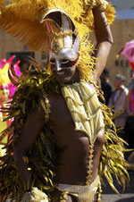 History of Mardi Gras