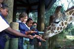 The Audubon Zoo