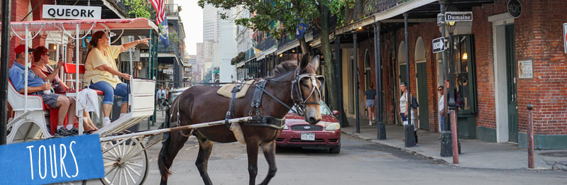 Private Tours In New Orleans